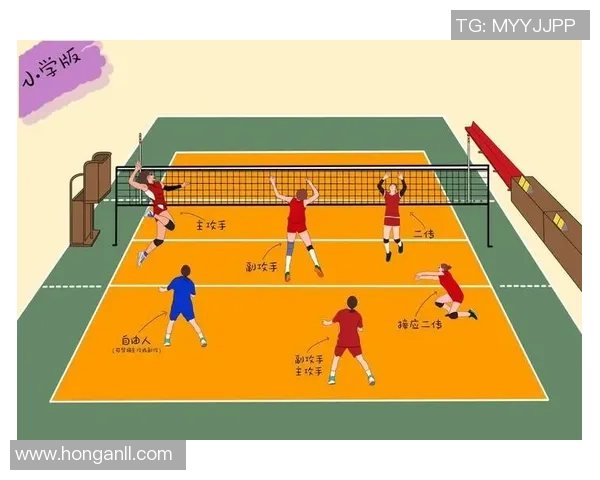 西安排球队反击战术解析与排球热点深度剖析